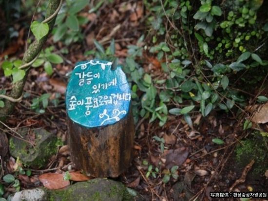 済州島のドラマやMVロケ地を巡るツアー　クモルム＆幻想の森ゴッジャワル＆新昌風車海岸道路＆金陵海水浴場 ＜黒豚焼肉の昼食付き／日本語ガイド＞