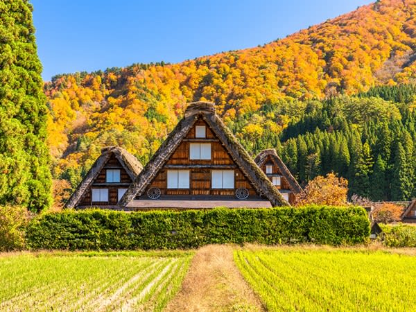 白川郷合掌造り民家園セット券 高山濃飛バスセンターから白川郷間の往復バス＋白川郷合掌造り民家園の入園券＜高山市＞ | 飛騨高山・岐阜の観光&遊び・体験・レジャー専門予約サイト  VELTRA(ベルトラ)