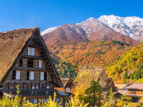 20230904043015_36289449_15817_