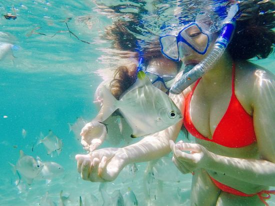 fullsizeoutput_1c3d_lg