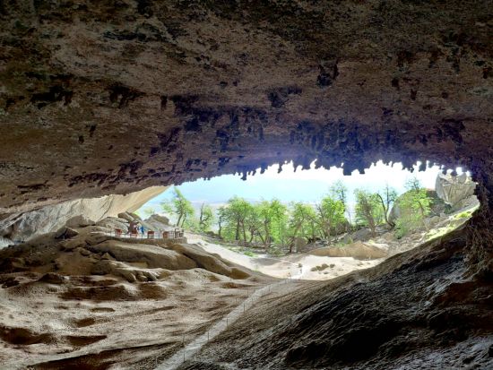 パタゴニアの大自然 トーレス・デル・パイネ国立公園1日観光ツアー＜混載／昼食／英語ガイド／プエルト・ナタレス発＞