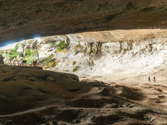 パタゴニアの大自然 トーレス・デル・パイネ国立公園1日観光ツアー＜混載／昼食／英語ガイド／プエルト・ナタレス発＞
