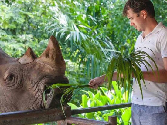 マイアミ動物園　入場チケット＆往復送迎サービス ＜英語ドライバー＞