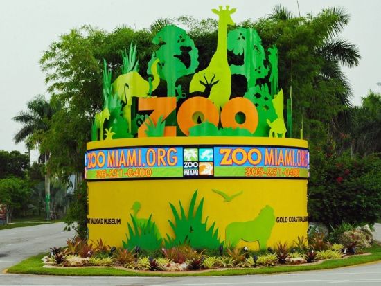 マイアミ動物園　入場チケット＆往復送迎サービス ＜英語ドライバー＞