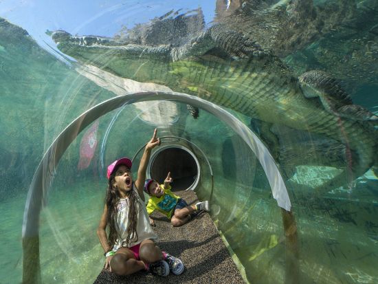 マイアミ動物園　入場チケット＆往復送迎サービス ＜英語ドライバー＞