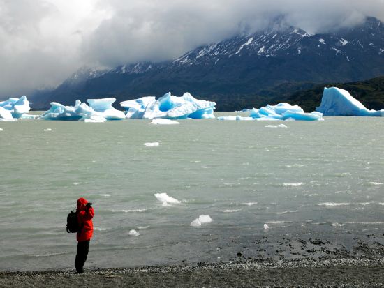 パタゴニアの大自然 トーレス・デル・パイネ国立公園1日観光ツアー＜混載／昼食／英語ガイド／プエルト・ナタレス発＞