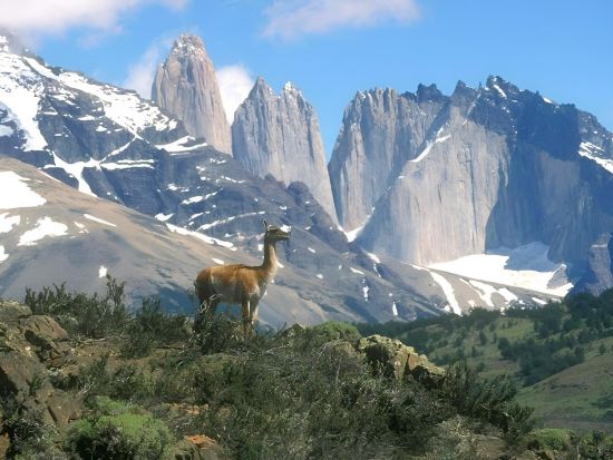 パタゴニアの大自然 トーレス・デル・パイネ国立公園1日観光ツアー＜混載／昼食／英語ガイド／プエルト・ナタレス発＞