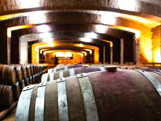 Chile_Santiago_Viña Undurraga_AdobeStock_276210371