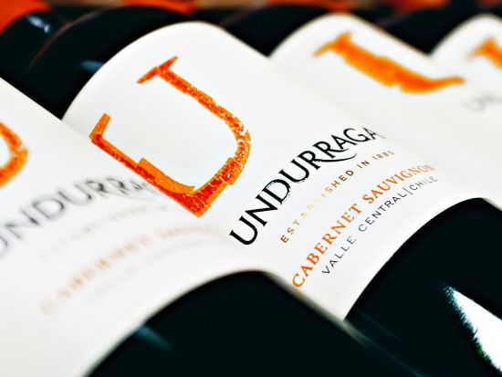 チリが愛するワイン！ウンドラーガ・ワイナリーツアー＜1日／ワイン試飲／英語ガイド／サンティアゴ発＞