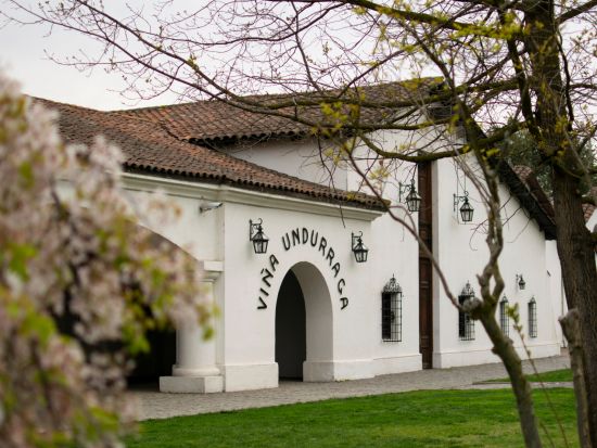 チリが愛するワイン！ウンドラーガ・ワイナリーツアー＜1日／ワイン試飲／英語ガイド／サンティアゴ発＞