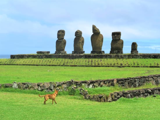 Chile_Easter Island_タハイ儀式村_pixta_91391935_M