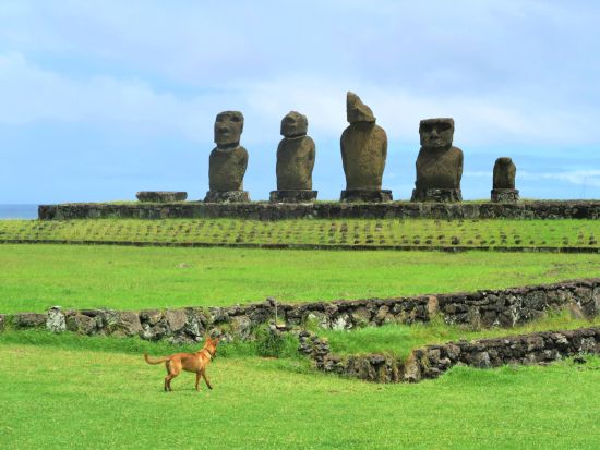 【イースター島】大人気ツアー同時申し込みプラン☆お得な価格で楽しもう！アフ・アキビ＋オロンゴ＆ラノ・カウ＋アナケナ＜混載／3日／英語ガイド／ハンガ・ロア村発＞