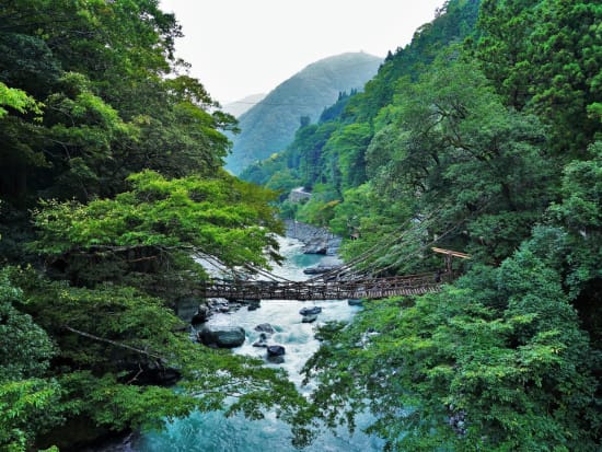 日本三大秘境「祖谷のかずら橋」