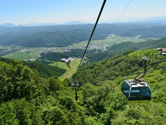 【毎日催行】白馬五竜高山植物園 観光日帰りツアー 約200万株の高山植物と雄大な絶景を堪能！ ＜6～10月／長野県／安曇野市内発着／大町市内発着＞