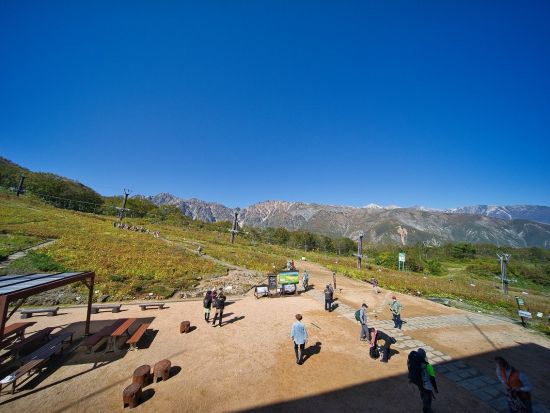【毎日催行】白馬五竜高山植物園 観光日帰りツアー 約200万株の高山植物と雄大な絶景を堪能！ ＜6～10月／長野県／安曇野市内発着／大町市内発着＞