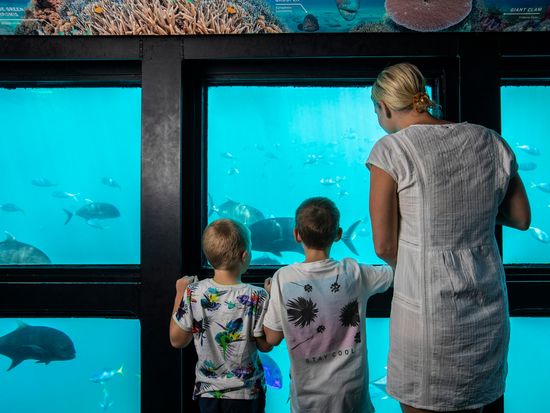 CWS-Experiences-Great-Barrier-Reef-Adventure-264-scaled