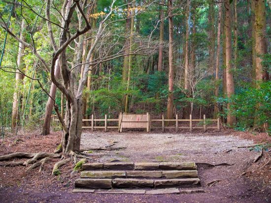 pixta_81875889_四皇子峰