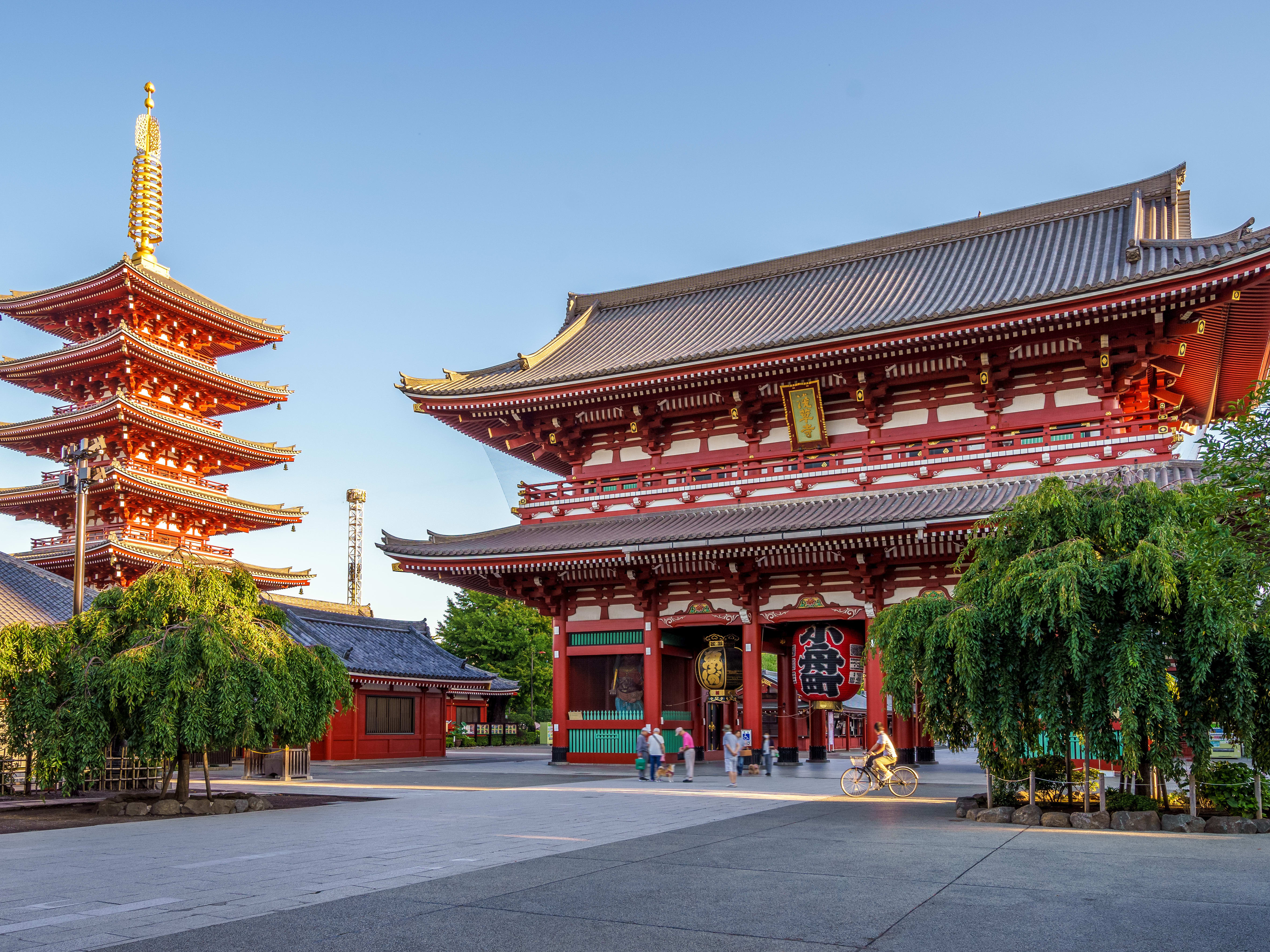 Tokyo 1 Day Tour to Tokyo Tower, Meiji Shrine, Sumida River Cruise, and Asakusa