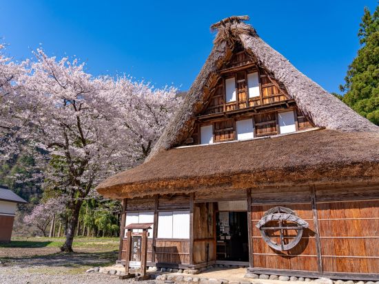 五箇山 菅沼合掌造り集落ウォーク　五箇山御膳の昼食付き＜午前／五箇山＞