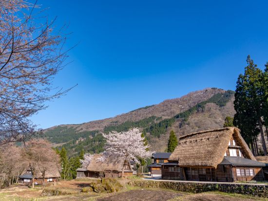 貸切観光タクシー 世界遺産『五箇山』と高岡市内のレトロな街並みを巡るコース 国宝瑞龍寺や高岡大仏も立ち寄るエコツアー＜5.5時間／1～9名／高岡発着＞