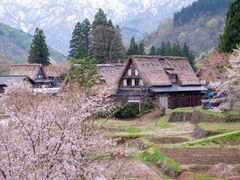 貸切観光タクシー 世界遺産『五箇山』と高岡市内のレトロな街並みを巡るコース 国宝瑞龍寺や高岡大仏も立ち寄るエコツアー＜5.5時間／1～9名／高岡発着＞の写真