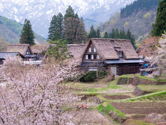 貸切観光タクシー 世界遺産『五箇山』と高岡市内のレトロな街並みを巡るコース 国宝瑞龍寺や高岡大仏も立ち寄るエコツアー＜5.5時間／1～9名／高岡発着＞