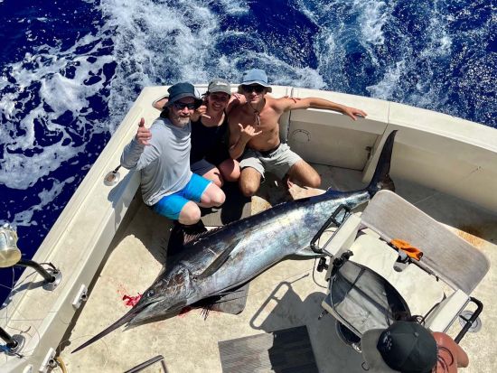 海釣り体験　気兼ねなく楽しめるプライベートクルーズ　カジキやマグロなど大物を狙おう！釣り用具付き＜貸切／4～10時間／ケワロ湾＞