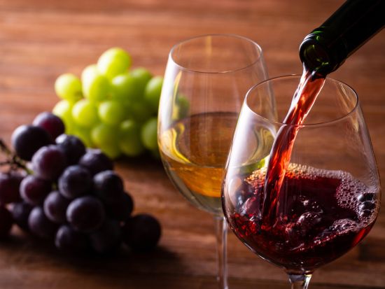 ワインの名産地サルタ　ワインテイスティングツアー ＜試飲付き／英語ガイド／サルタ発＞