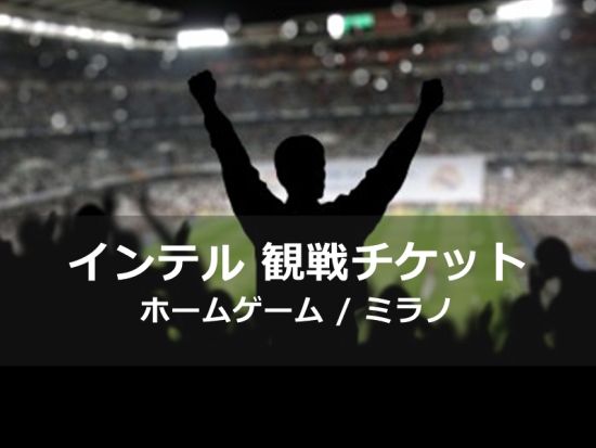 インテル サッカー観戦チケット＜ホームゲーム／ミラノ＞