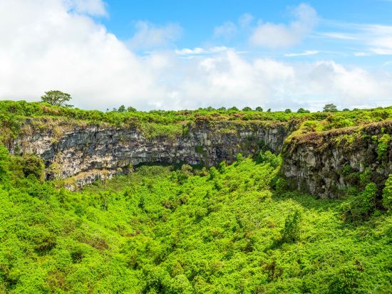 バルトラ空港⇔サンタクルス島内ホテル 混載送迎シャトル☆観光スポット立ち寄りプラン有り♪＜送迎＆フェリー代金込／英語ドライバー＞