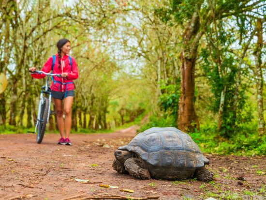 バルトラ空港⇔サンタクルス島内ホテル 混載送迎シャトル☆観光スポット立ち寄りプラン有り♪＜送迎＆フェリー代金込／英語ドライバー＞