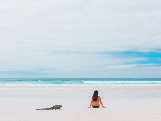 バルトラ空港⇔サンタクルス島内ホテル 混載送迎シャトル☆観光スポット立ち寄りプラン有り♪＜送迎＆フェリー代金込／英語ドライバー＞