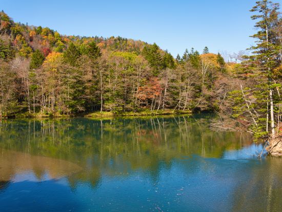 屈足湖（くったりこ）のんびりカヌー 癒しの湖上散策 アイヌの口琴ムックリにも挑戦＜4～11月／3歳以上／新得＞ byTACとかちアドベンチャークラブ