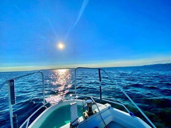 【貸切】半日釣り体験　石垣島で島んちゅ船長が案内する海釣りに挑戦＜午前or午後／釣具一式付／新川漁港＞