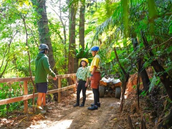 バギーでやんばるの森を大冒険 4歳～参加OK！初心者でも安心のガイド付き やんばるの自然を満喫しよう♪＜1時間／4歳～／運転免許不要／名護＞