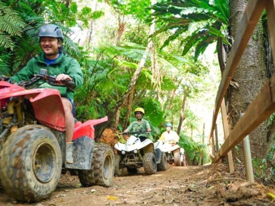バギーでやんばるの森を大冒険 4歳～参加OK！初心者でも安心のガイド付き やんばるの自然を満喫しよう♪＜1時間／4歳～／運転免許不要／名護＞