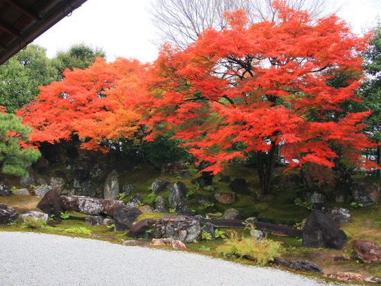 Japan_Kyoto_Entokuin_pixta_6702409