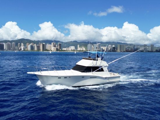 海釣り体験　気兼ねなく楽しめるプライベートクルーズ　カジキやマグロなど大物を狙おう！釣り用具付き＜貸切／4～10時間／ケワロ湾＞
