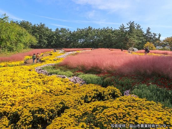 200012602_base_169292469741115