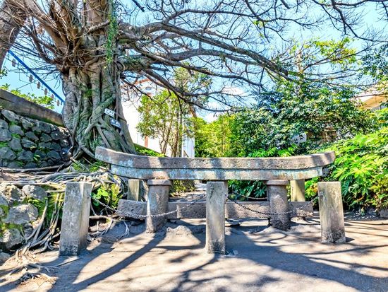 pixta_77758225_黒神埋没鳥居