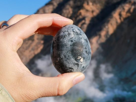 東京発日帰りバスツアー 箱根神社＆大涌谷＋御殿場アウトレットでショッピング！英語ガイドと巡るインバウンド向け観光プラン＜英語ガイド＞