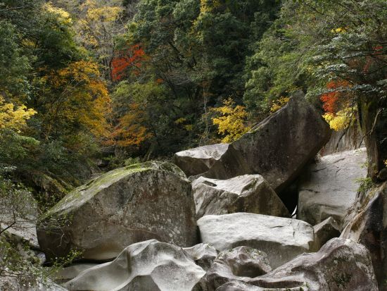 【VIVANT】櫻井家住宅/可部屋集成館から鬼の舌震までの聖地巡礼ツアー 出雲大社＋たたらで栄えた奥出雲の貸切観光タクシー＜5時間30分～／1-4名／松江市発＞