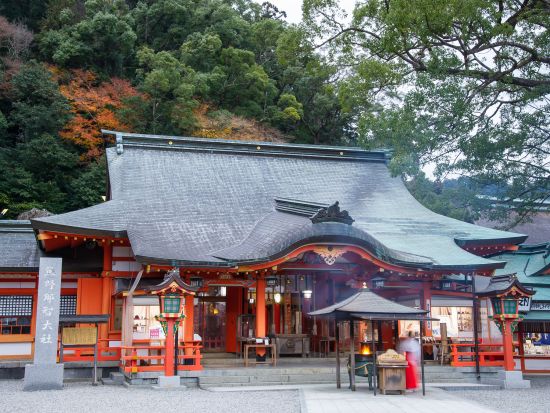 名古屋発日帰りバスツアー　世界遺産・熊野古道＋那智の滝 　熊野古道約3時間自由散策＜毎週火・木・土曜日/JR名古屋発着2026年11月まで＞