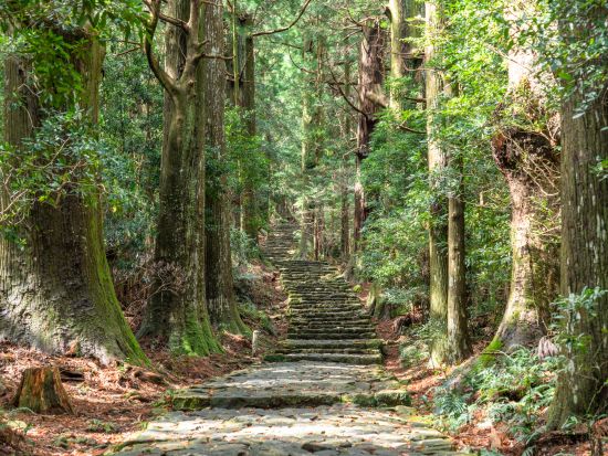 名古屋発日帰りバスツアー　世界遺産・熊野古道＋那智の滝 　熊野古道約3時間自由散策＜毎週火・木・土曜日/JR名古屋発着2026年11月まで＞