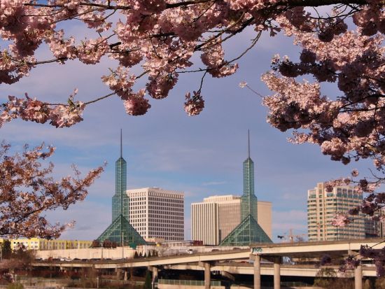 ポートランド市内 観光ツアー ＜英語ガイド＞