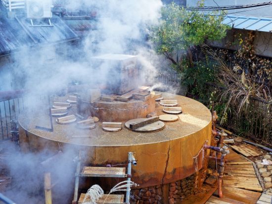 【英語バスツアー】姫路城・好古園+家老屋敷跡公園+有馬温泉+六甲山を巡る日帰り観光＜昼食付プランあり／大阪発／英語ガイド＞