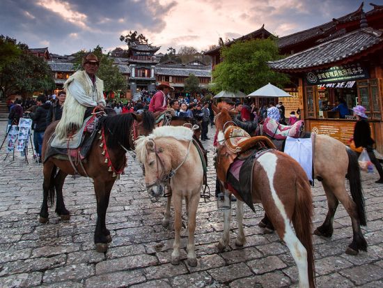 【茶馬古道を行く雲南逍遥5日間】バックパッカーの聖地「大理」＋美しい町並み「麗江古城」＋桃源郷「シャングリラ」＜専用車と専属日本語ガイド付／昼食付/宿泊付＞