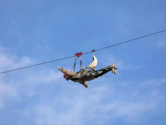 アルウラ発 スリル満点のジップライン体験！＜英語ガイド／送迎付きプランあり＞