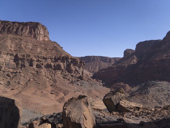 アルウラ発 スリル満点のジップライン体験！＜英語ガイド／送迎付きプランあり＞