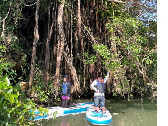 【当日・直前予約OK！】《初めてのSUP体験＆マングローブ観察》ダブルで楽しい！リバーSUPツアー☆無料撮影＆写真データプレゼント＜中部（嘉手納町発）/2時間＞